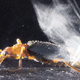 Illustration for article titled How This Beetle Shoots Jets of Superheated Liquid Out of Its Butt
